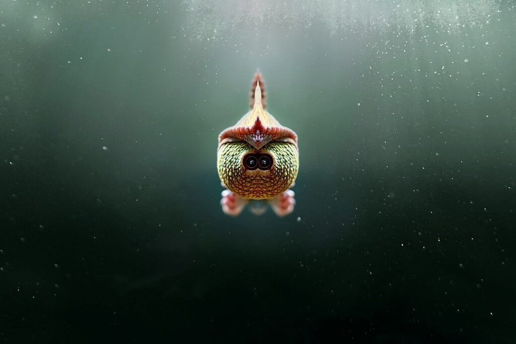 What TikTok’s ‘Bird Theory’ Says About Relationships