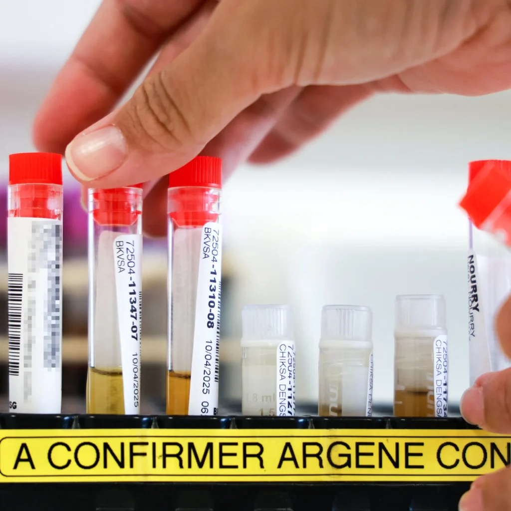 New York Confirms State’s First Locally Acquired Case of Chikungunya