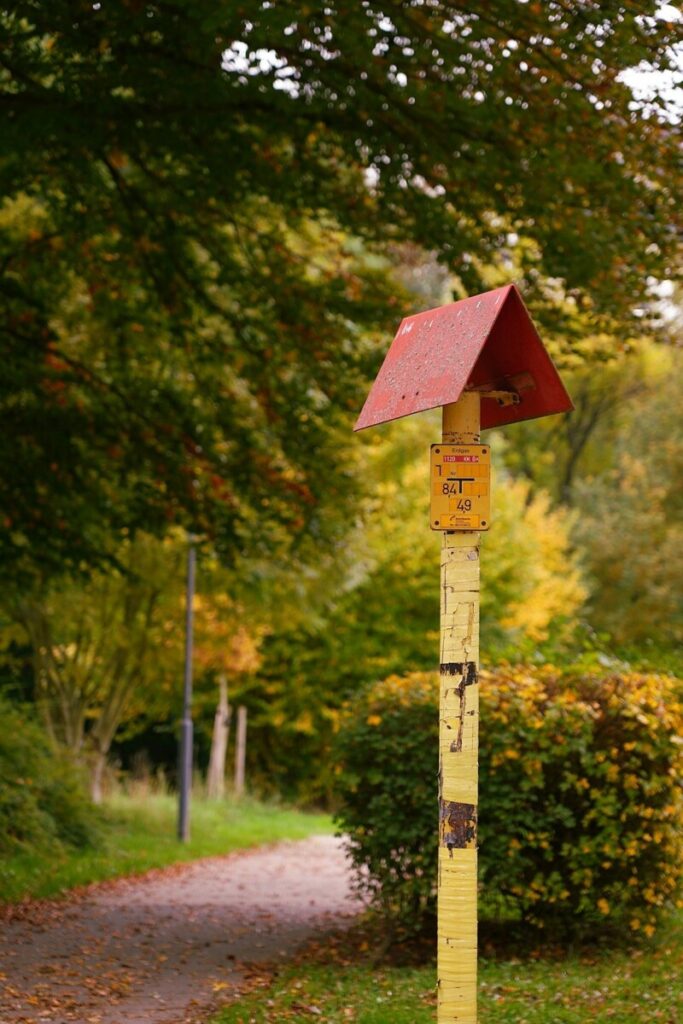 Natural-Gas Firm Diversified Energy Strikes Deal for Permian Basin Player