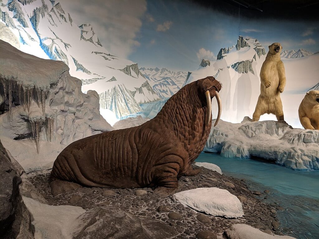 What Will It Take for Home Buyers to Start Asking for a Disaster Discount?