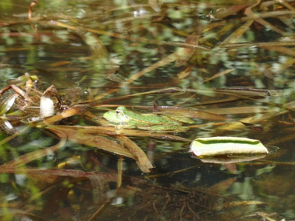 Natural Gas Falls on Shifting Weather Forecasts