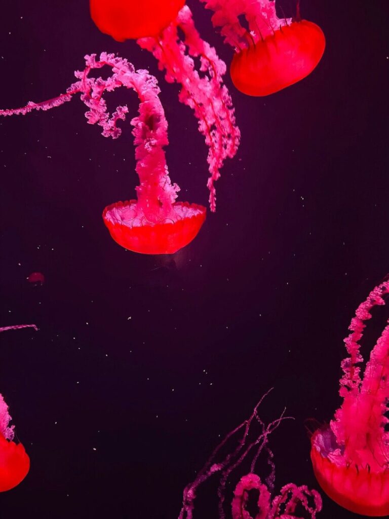 Neutrogena Recalls Makeup Wipes Over Bacterial Contamination Concerns