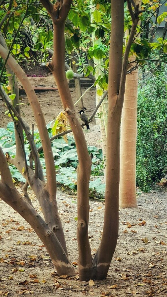 Natural Gas Falls on Shifting Weather Forecasts