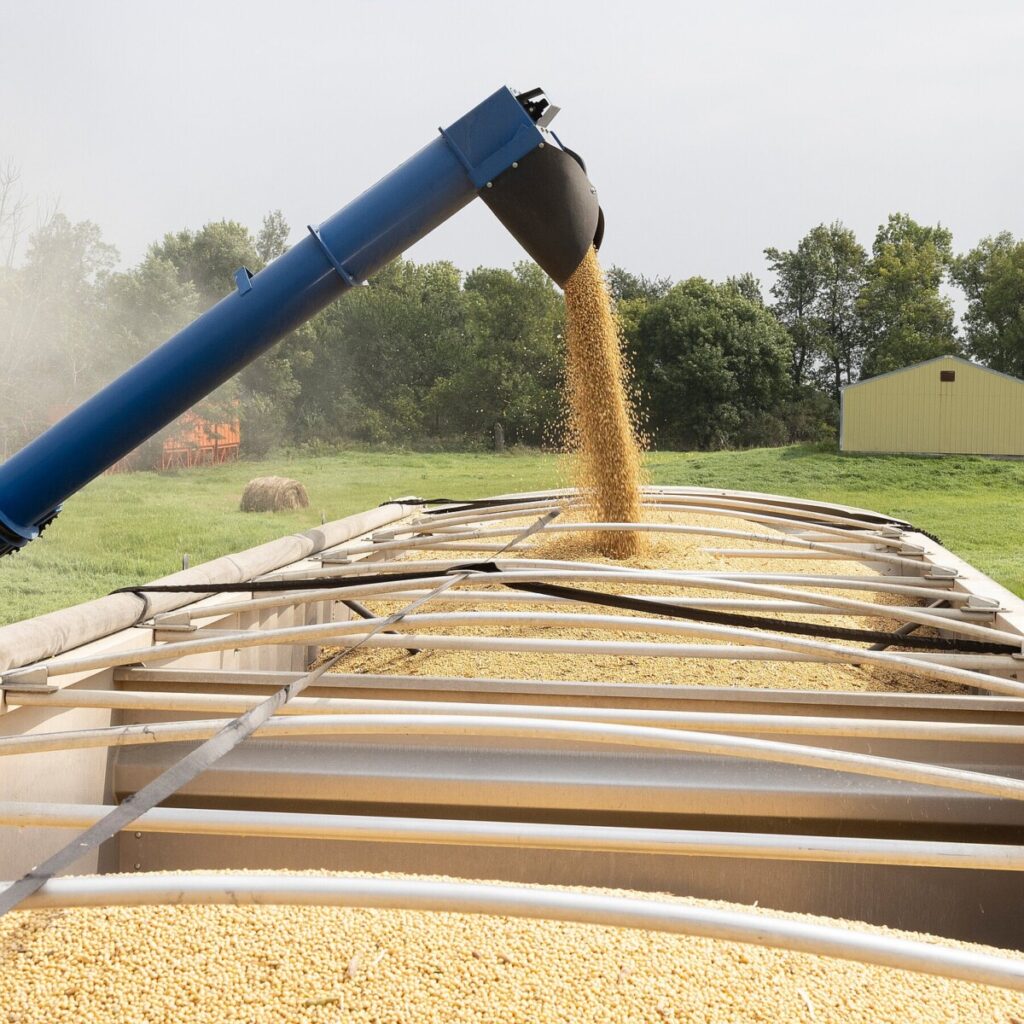 Soybean Farmers Find Relief in U.S. Trade Truce With China