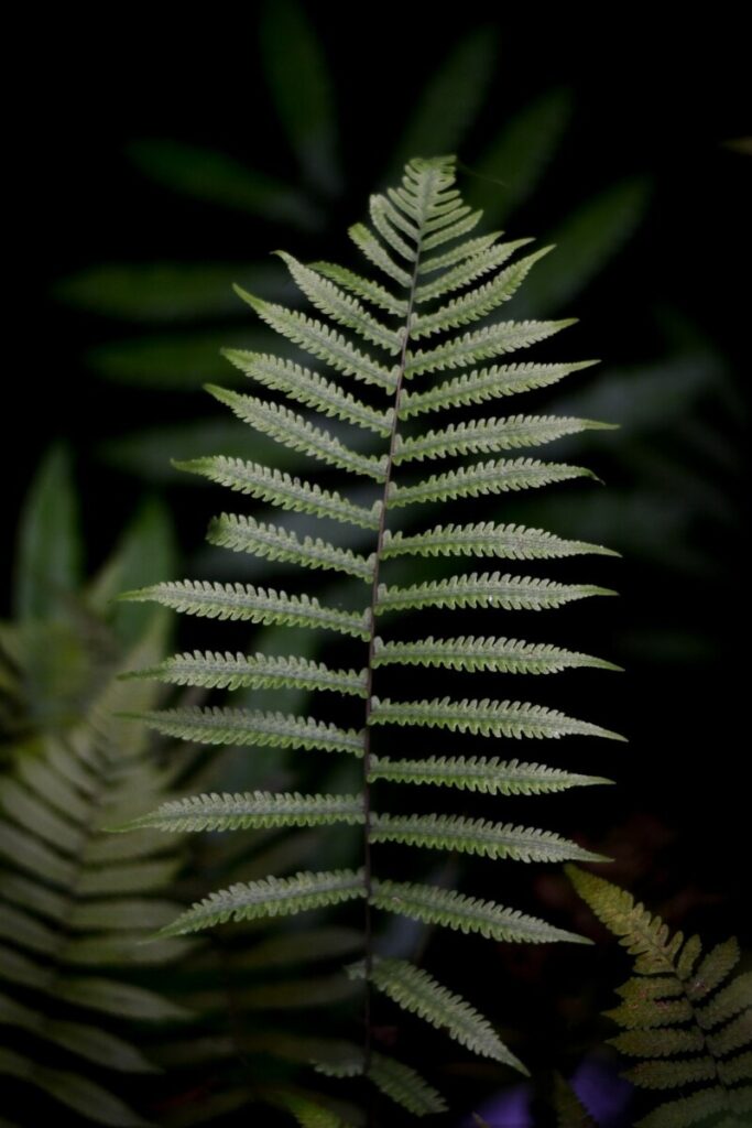 Natural Gas Falls on Shifting Weather Forecasts