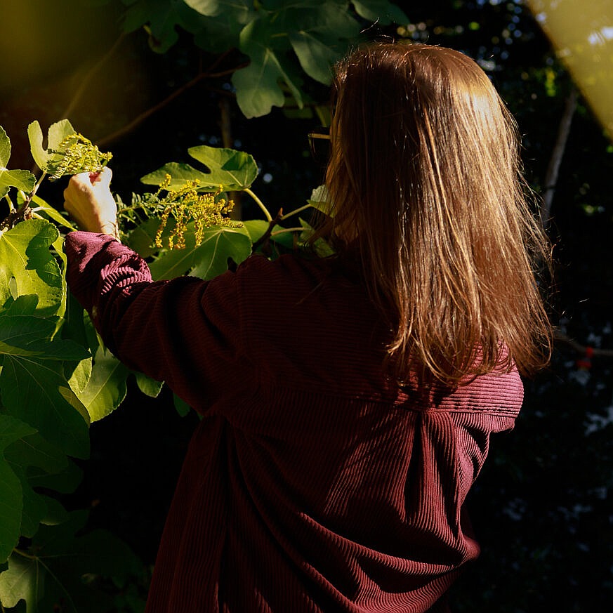 How a Long Island Woman Was Diagnosed With Chikungunya