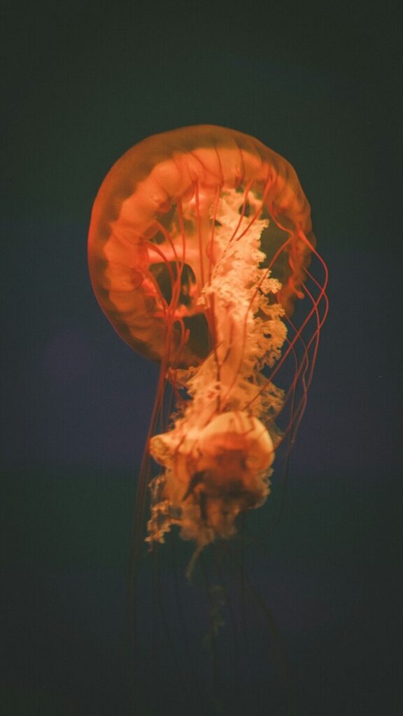 Neutrogena Recalls Makeup Wipes Over Bacterial Contamination Concerns