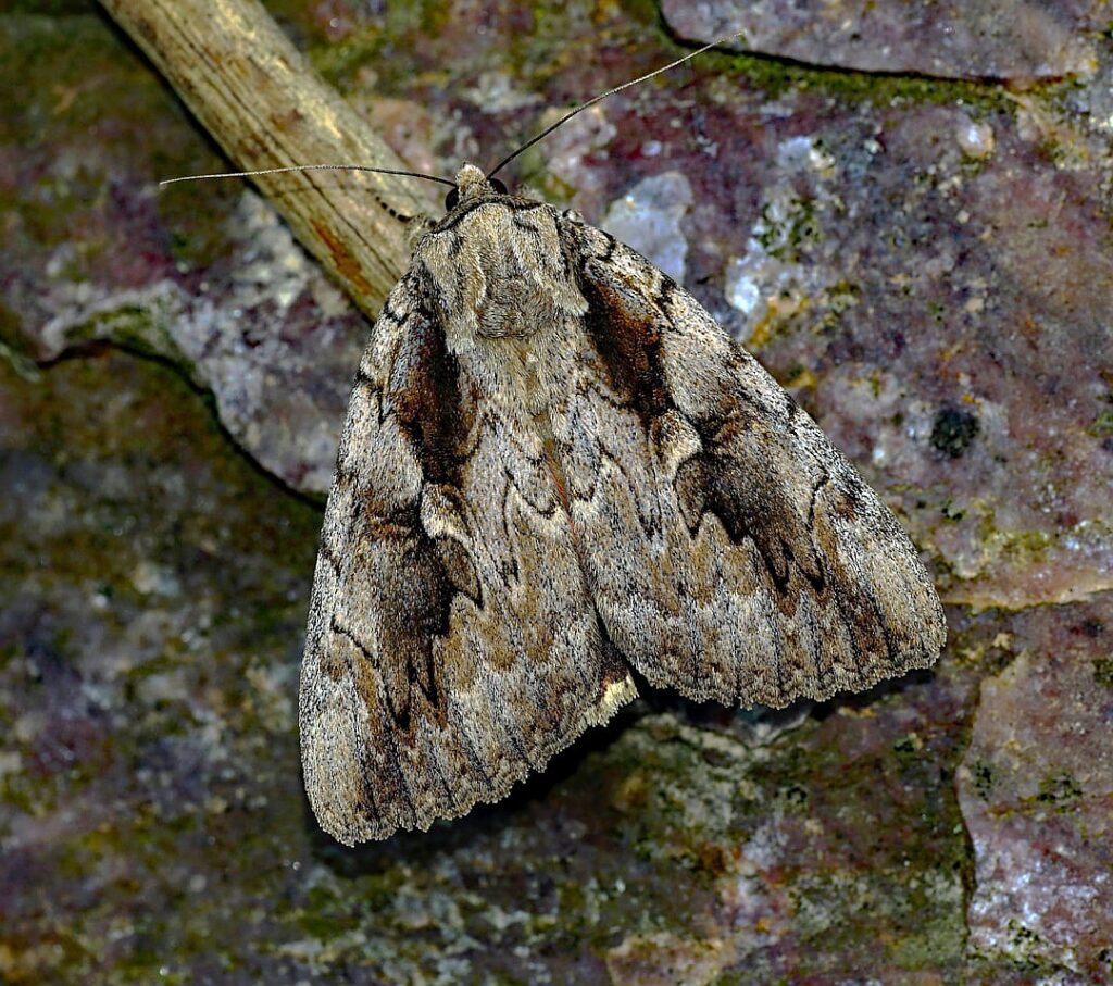 Libellous chatbots could be AI’s next big legal headache