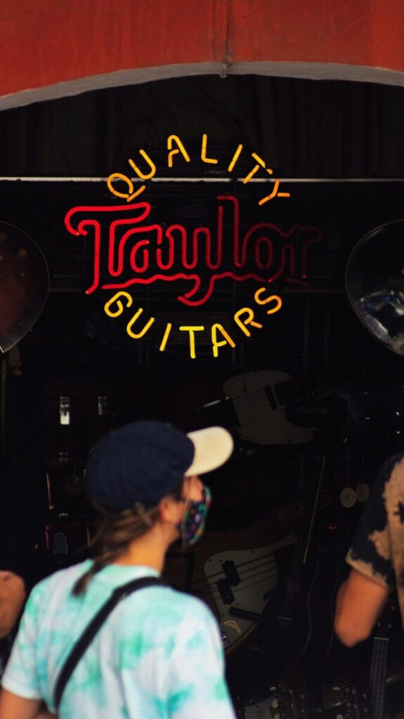 Guatemalan Black Howler Monkey