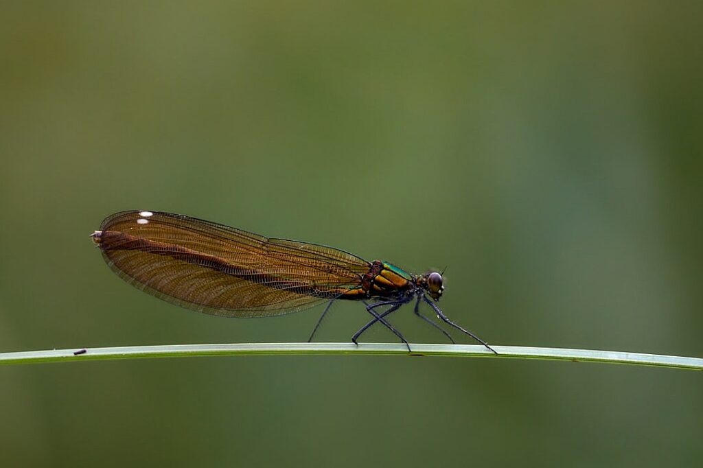 Libellous chatbots could be AI’s next big legal headache