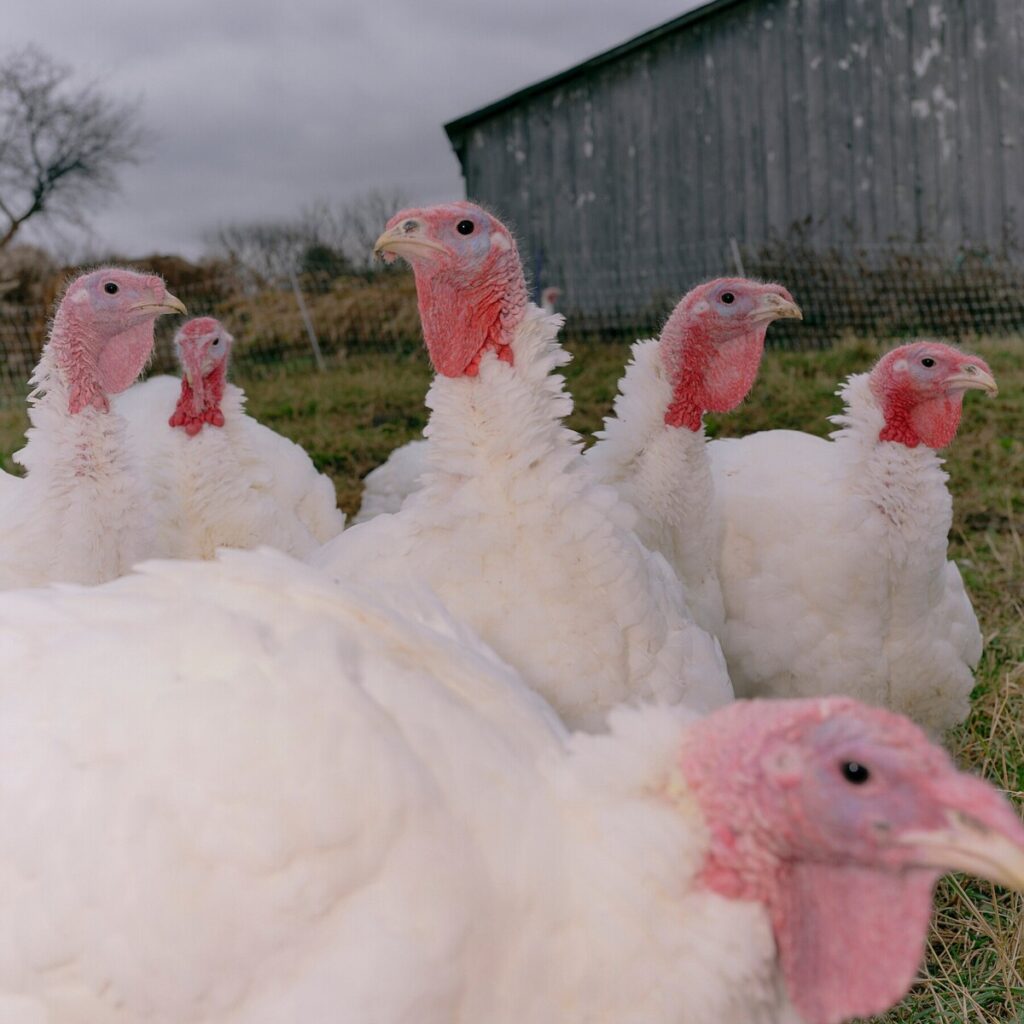 Fact-Checking Trump’s Latest Claims on Affordability