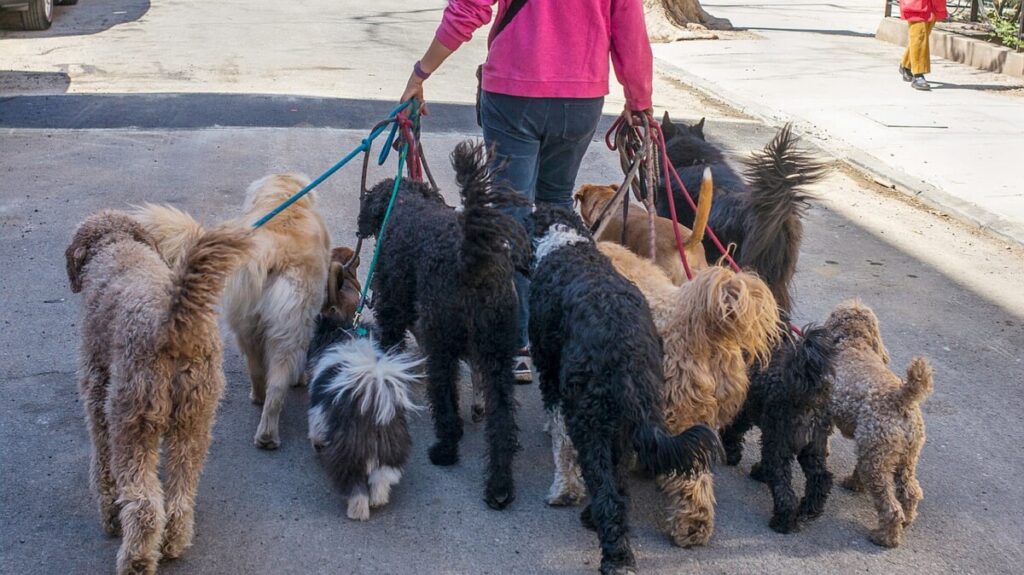 Global week ahead: Which tail is wagging the market dog?