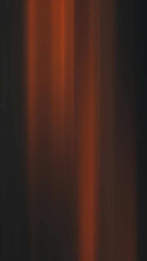 The loneliness of America’s model ally