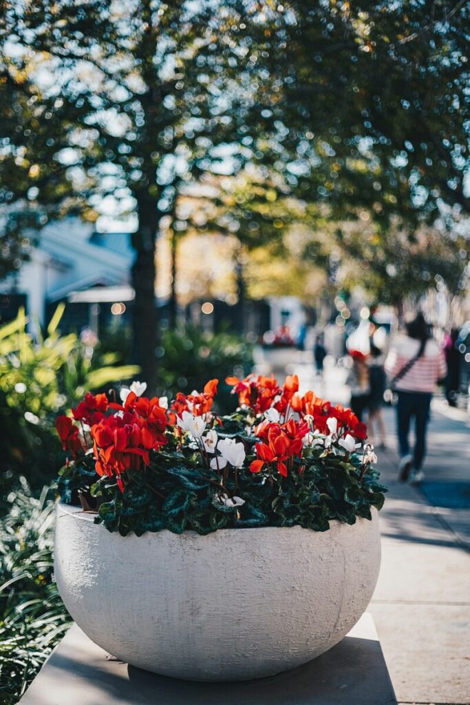 The US in brief: Epstein’s shadow