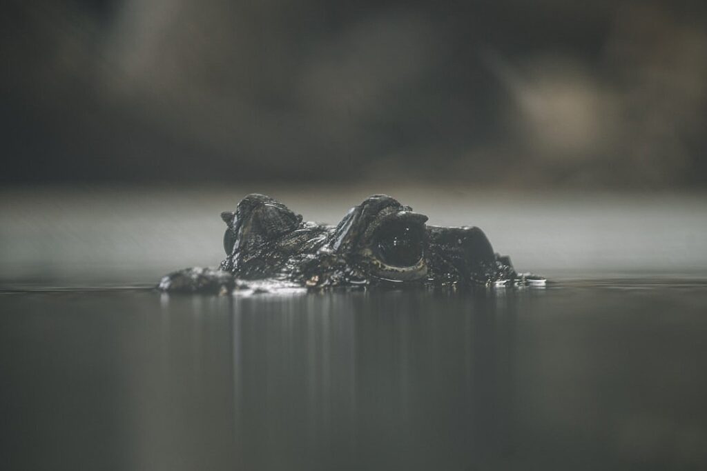 Dangerous addiction: America is fighting fentanyl with diplomacy