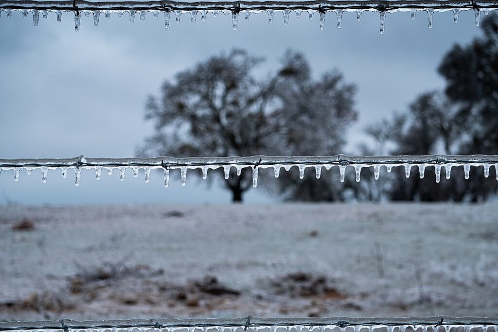 ICE show: how Donald Trump is creating his own police force