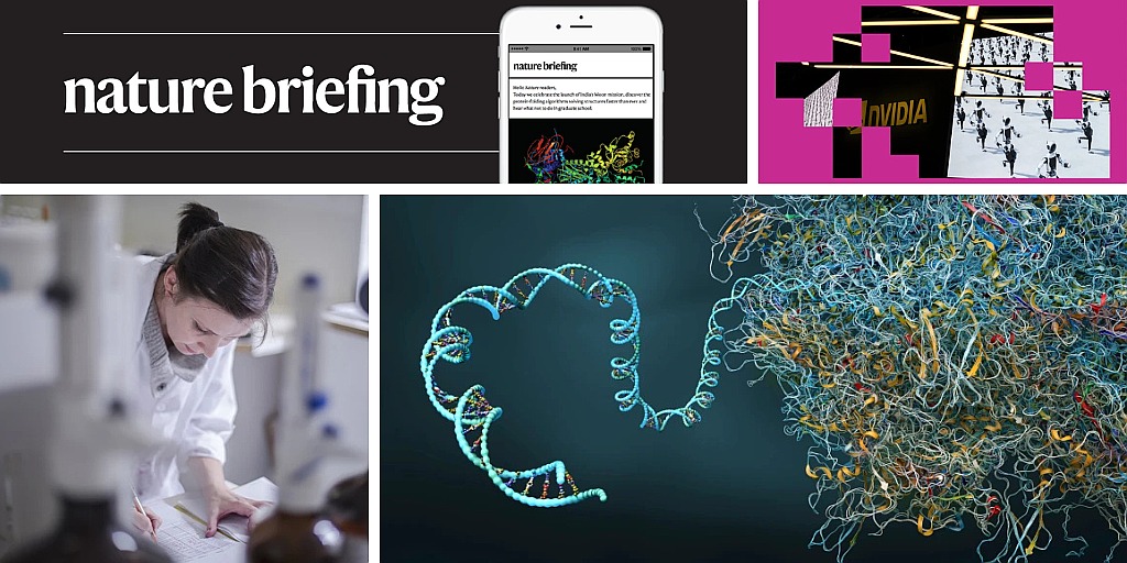 Daily briefing: What happens to science if the ‘AI bubble’ bursts?