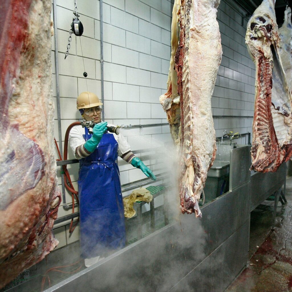 Tyson Foods to Shut Major Beef Facility in Nebraska