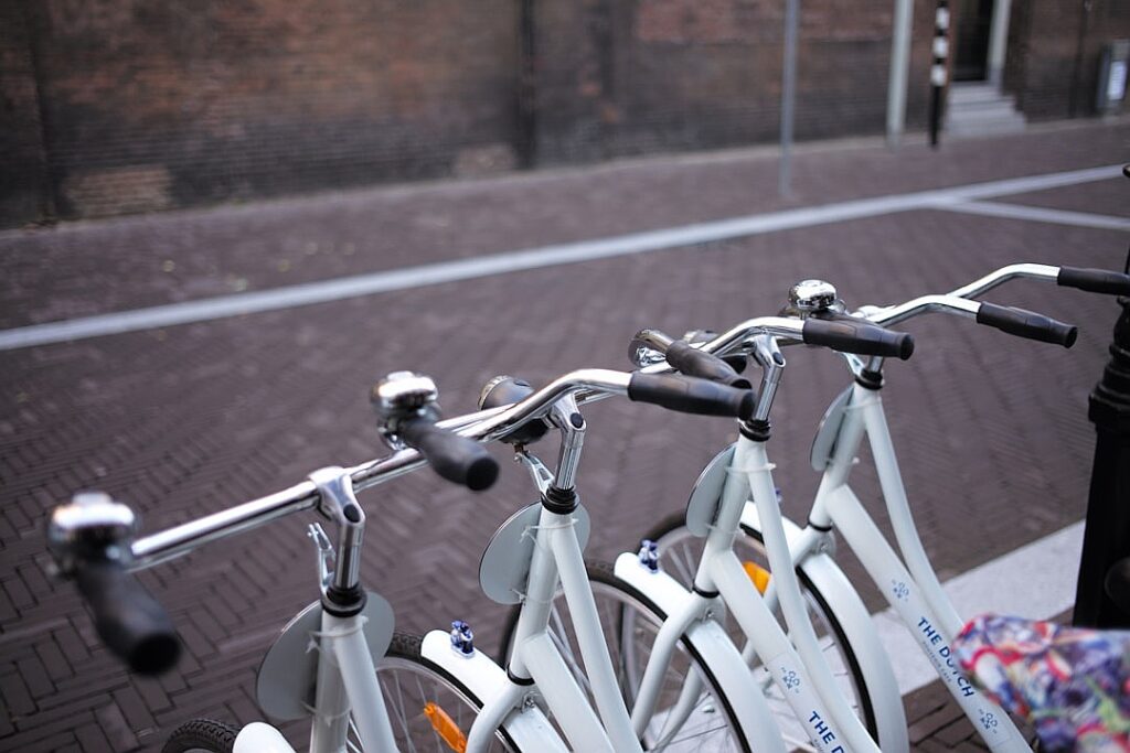 The grab list: how museums decide what to save in a disaster