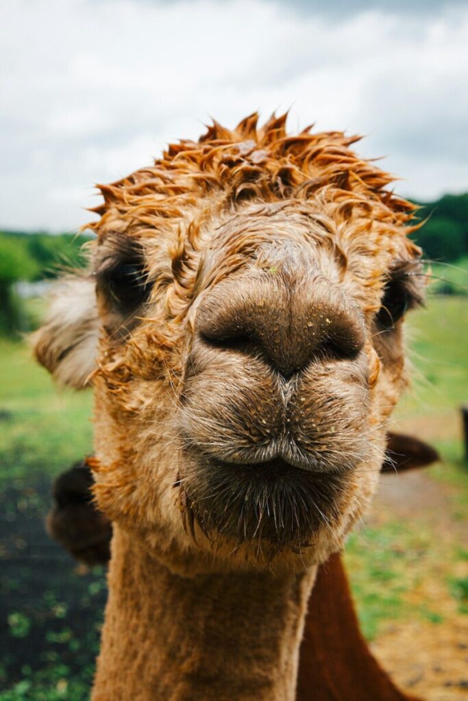 How I learned to love financial bubbles, by the author of a book on them