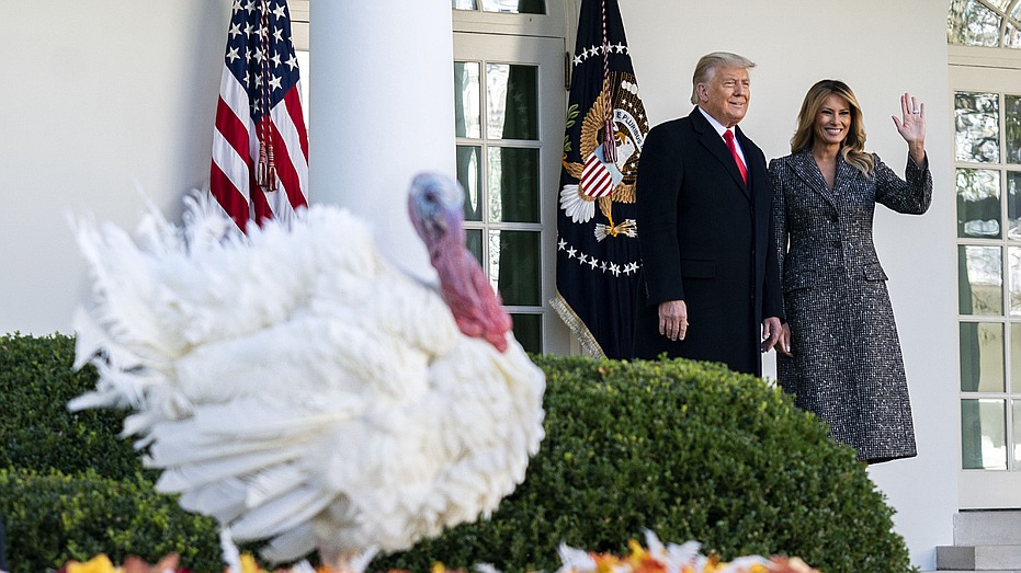 Trump kicks off Thanksgiving week with turkey pardon and Christmas tree arrival