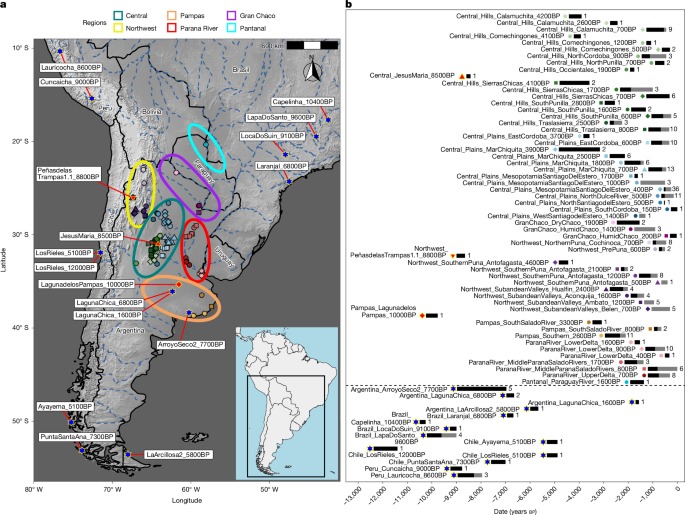 Eight millennia of continuity of a previously unknown lineage in Argentina
