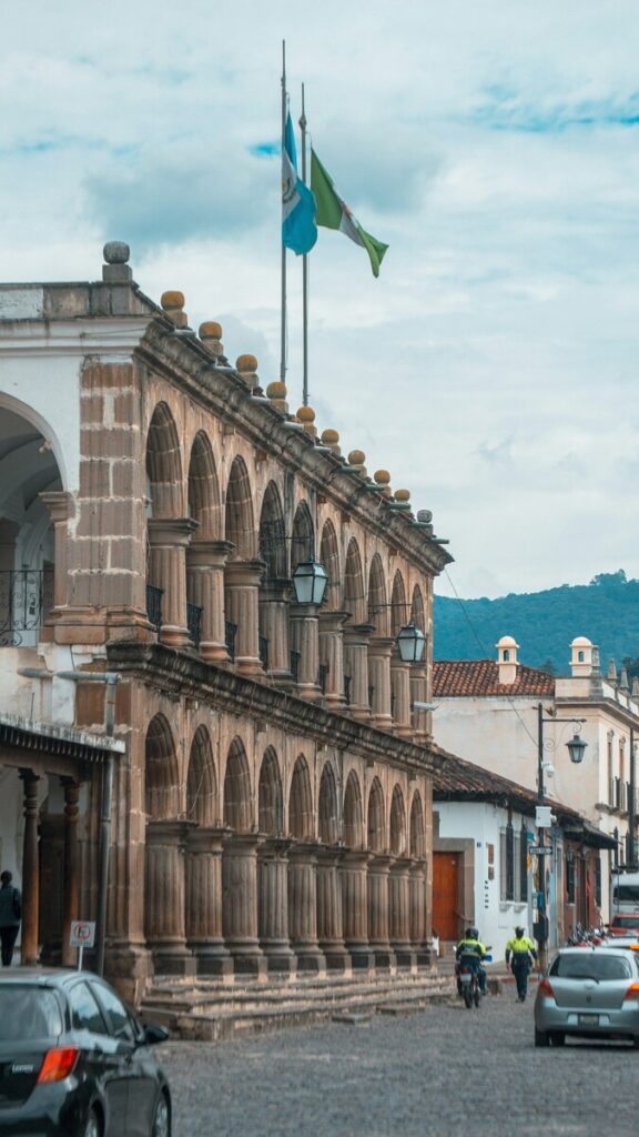 Guatemalan Black Howler Monkey