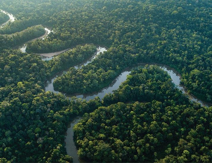 Brazil’s credibility at stake with drilling | Science