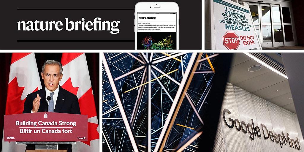 Daily briefing: Kissing might have evolved 21.5 million years ago