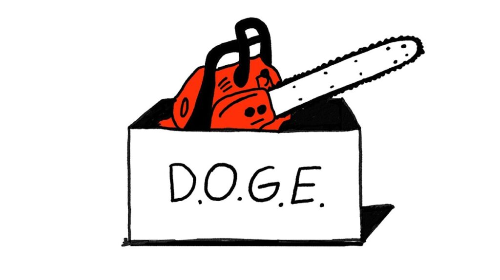 So, DOGE, What Would You Say You Did Here?