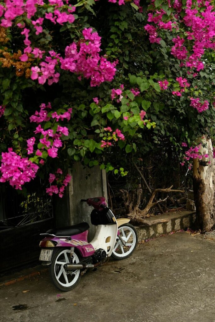 Vietnam is rushing ahead with ambitious domestic reforms