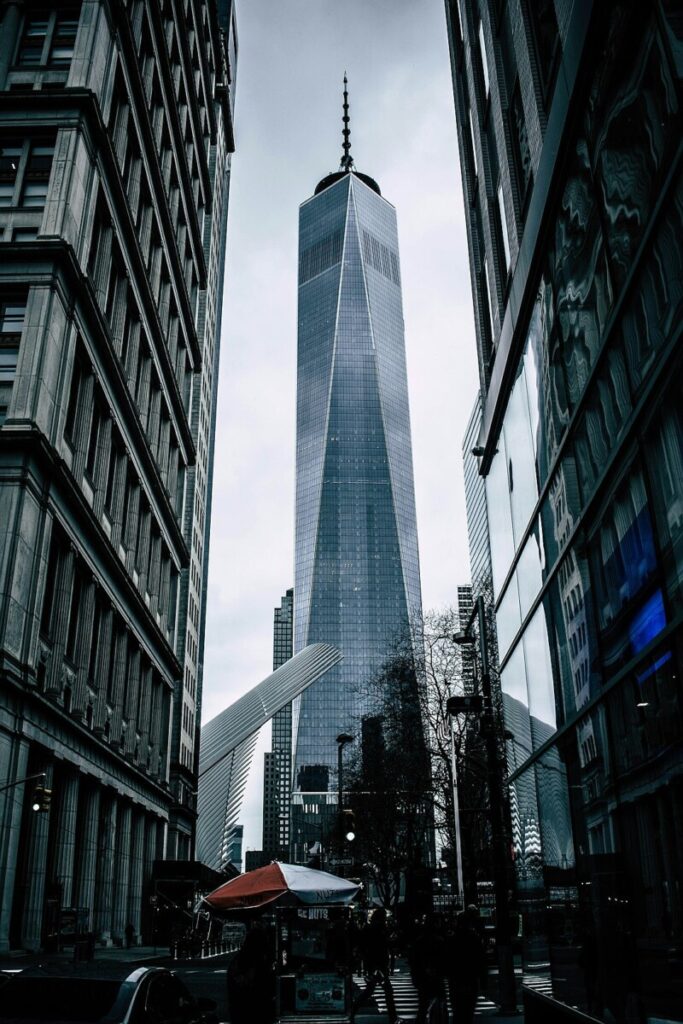 New Studies of Dog DNA Shed Light on Pets and People