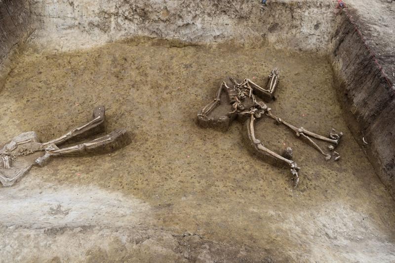 Headless bodies hint at why Europe’s first farmers vanished