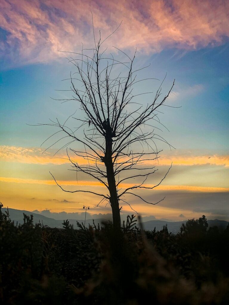 Could Brazil’s mega-election herald the end of polarisation?