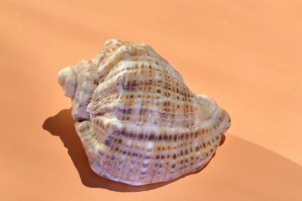 Libellous chatbots could be AI’s next big legal headache