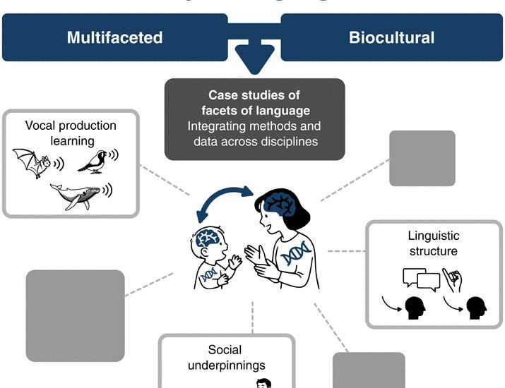 What enables human language? A biocultural framework | Science