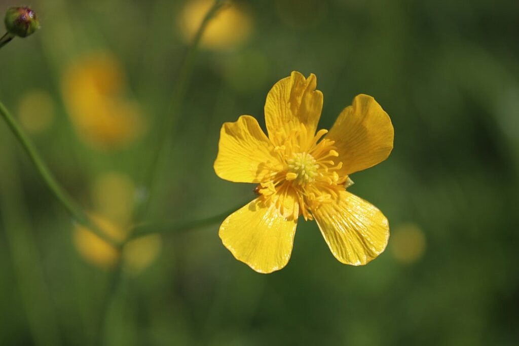 For the first time, climate models show the 1.5°C goal is dead