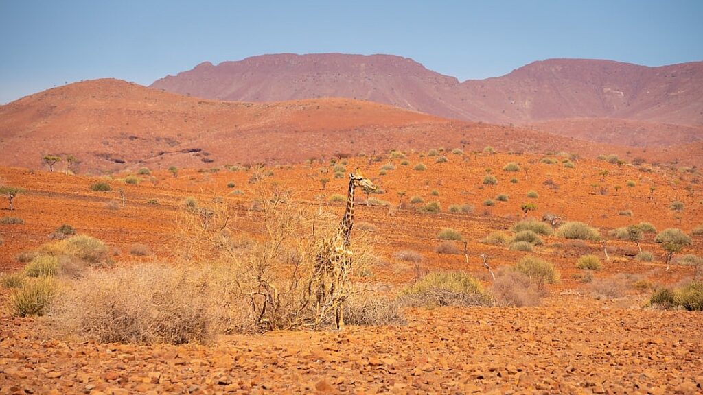 Namibia’s New Minister of Health and Social Services Reimagines Health Care