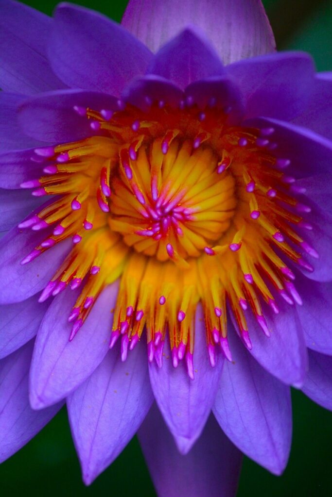 How markets could topple the global economy