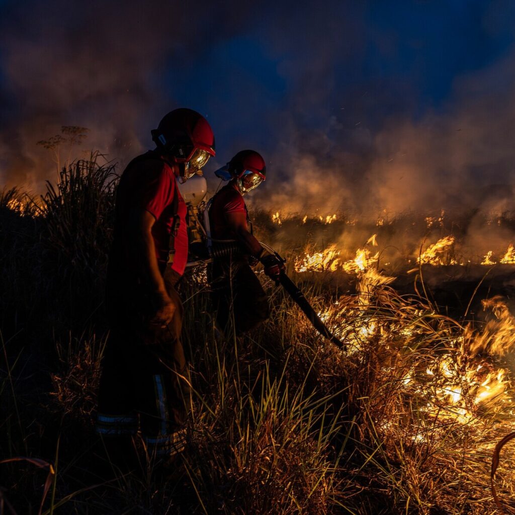 Stopping the Greatest Threat to the Amazon, One Fire at a Time