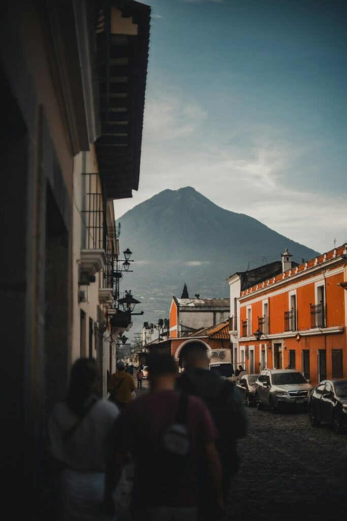 Guatemalan Black Howler Monkey
