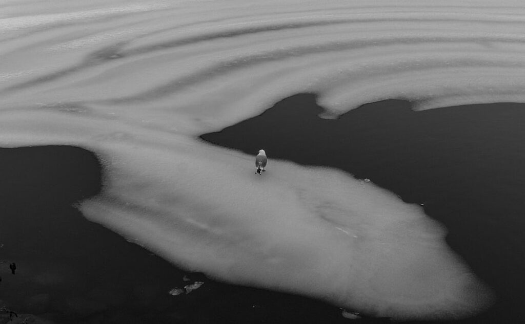 Is “All’s Fair” really the worst television drama ever made?