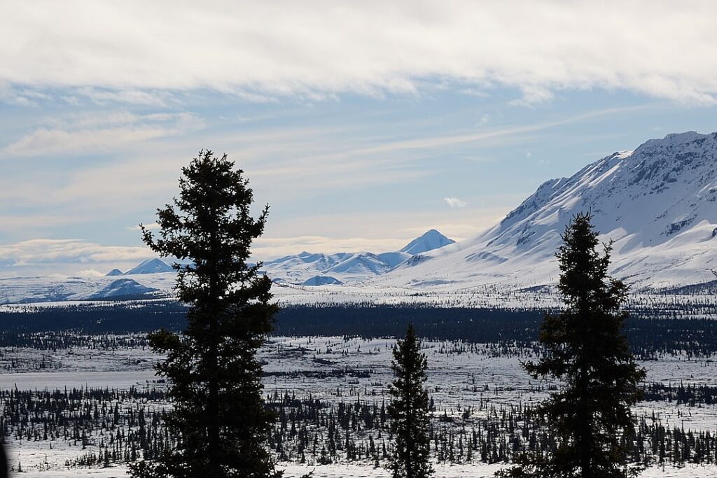 Alpine Glacier Melt Leads to Firn, a Skin Care Line