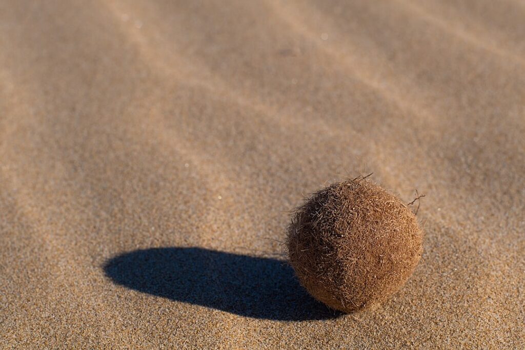 Cover Story newsletter: The battle for New York