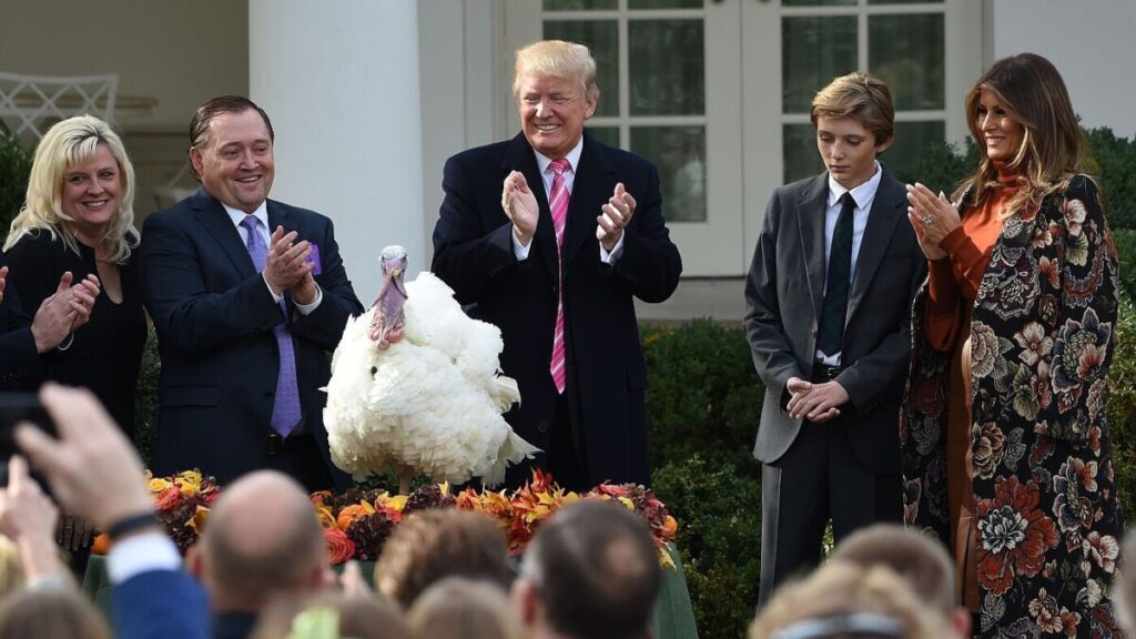 A tradition for turkeys: Another presidential pardon