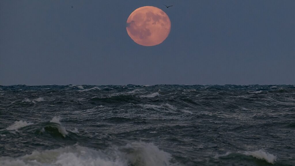 Brightest supermoon of 2025 lights up the sky this week