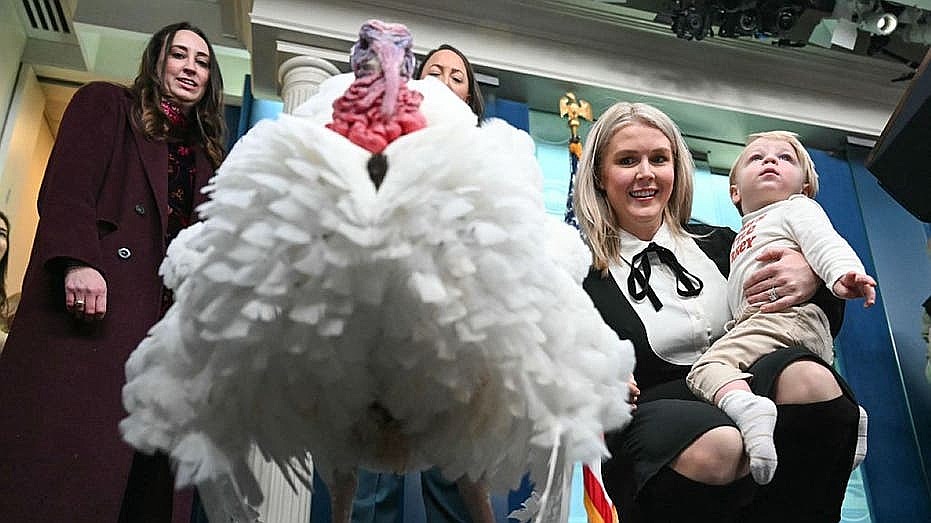 ‘Waddle’ the turkey faces press questions in White House briefing room ahead of presidential pardon