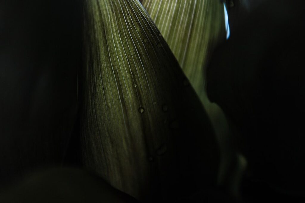 The US in brief: Donald Trump hits a new low