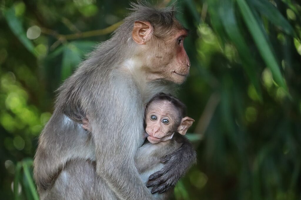 Mother Accused of Delaying Medical Care for Daughter Who Died on Road Trip