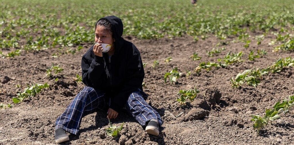 As US hunger rises, Trump administration’s ‘efficiency’ goals cause massive food waste